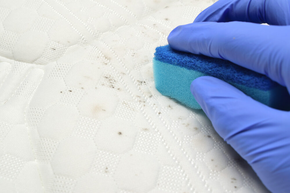 How to Clean a Mattress