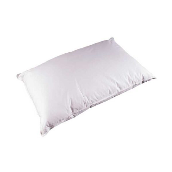 Medicare Pillows Twin Pack Sussex Beds